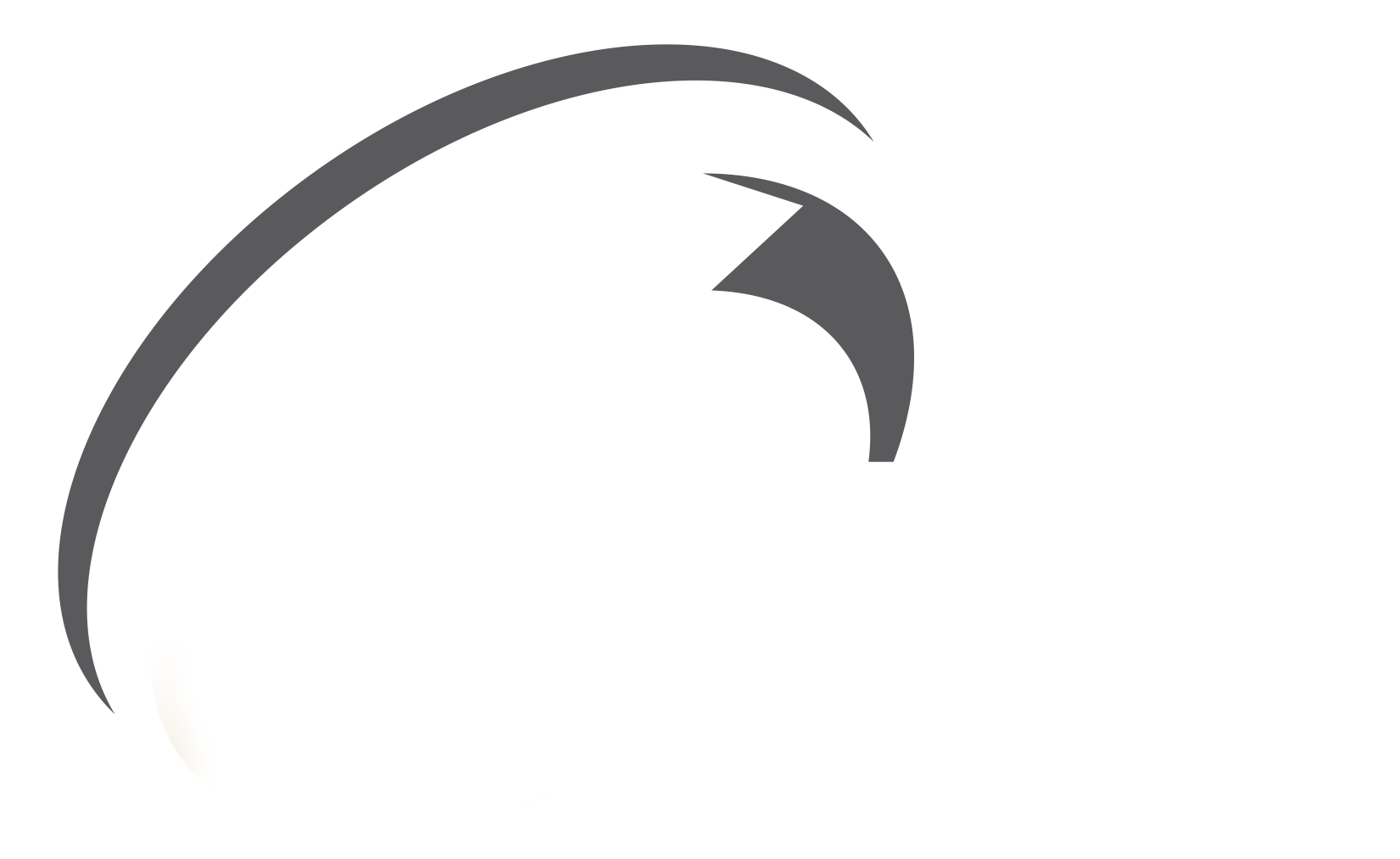 Logo Footer